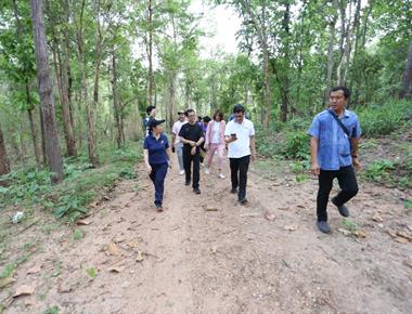 อธิการบดีมหาวิทยาลัยพะเยา นำทีมสำรวจป่าศึกษาธรรมชาติ  เรียนรู้คู่ชุมชน อนาคตสร้างสวนศึกษาพันธุ์ไม้และสมุนไพร